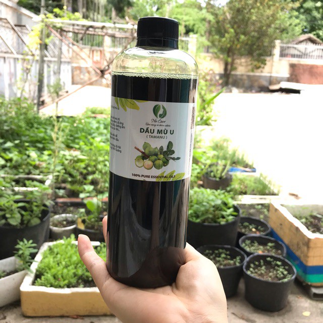 Dầu Mù U Xanh Nguyên Chất 1 Lít