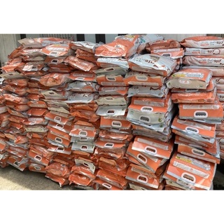 Thức ăn hạt cho mèo CATSRANG HÀN QUỐC 5Kg
