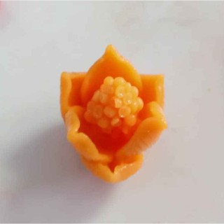 Khuôn Silicone Hoa Cúc Các Loại cúc châu phi
