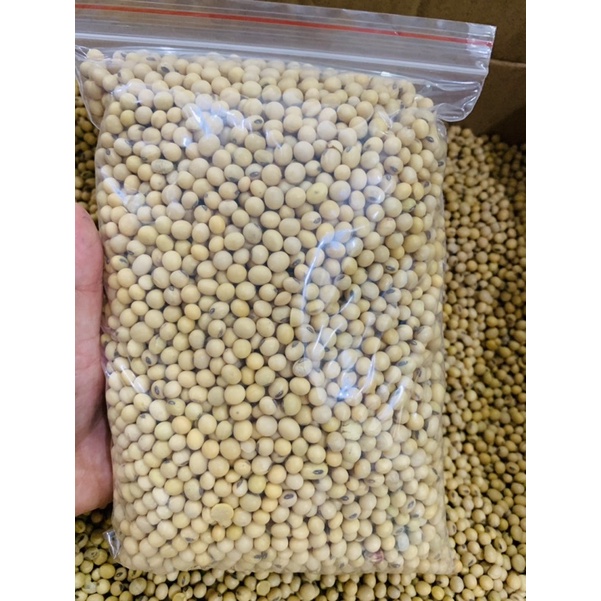 Đỗ tương đậu nành 1kg làm sữa hạt, tào phớ, có giấy tờ kiểm định