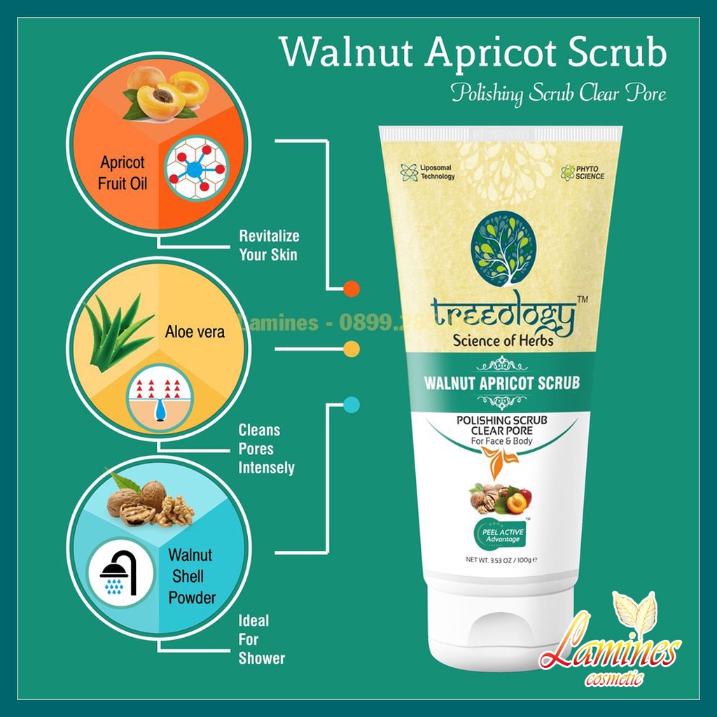 Tẩy Tế Bào Chết Từ Quả Mơ, Hạt Óc Chó Treeology | Walnut Apricot Clear Pore Polishing Scrub For Face And Body 100gram