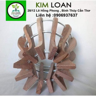 Combo 2 chậu lan gỗ hình ly 18x18cm