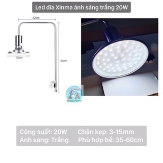 Led dĩa Xinma ánh sáng trắng | WRB (20W|40W)