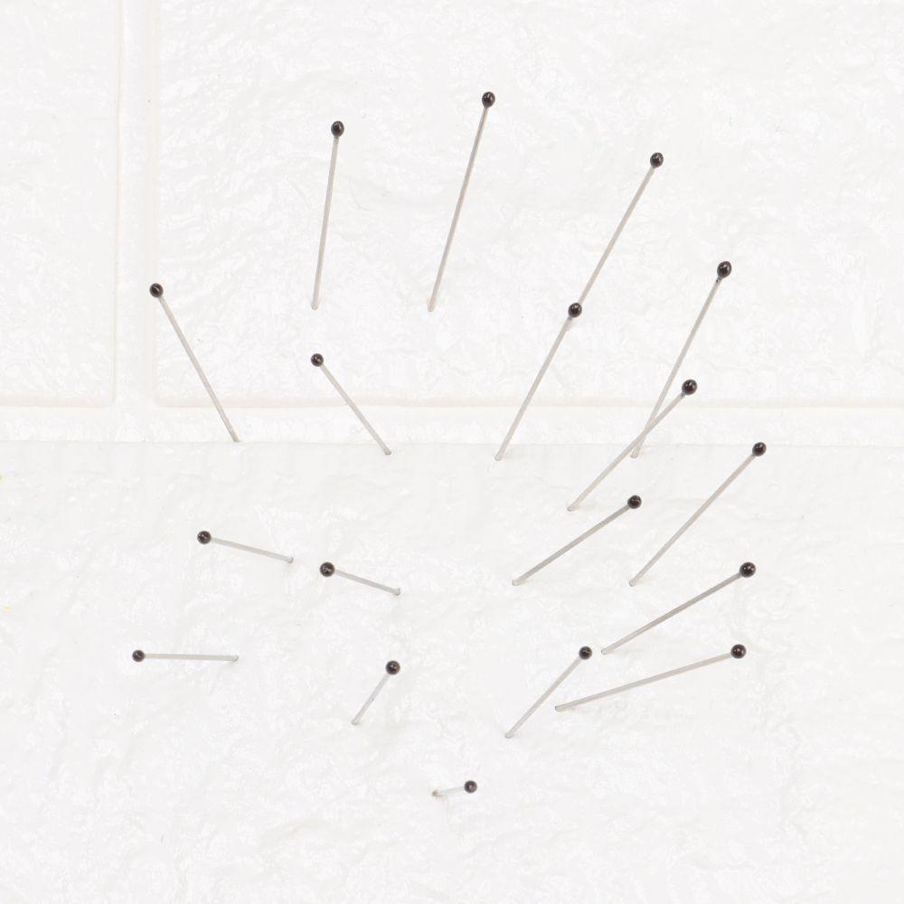 Bộ 100 Ghim Cài Dùng Trong Phòng Thí Nghiệm