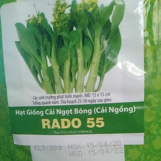 Hạt giống cải ngọt bông ( cải ngồng) gói 20g
