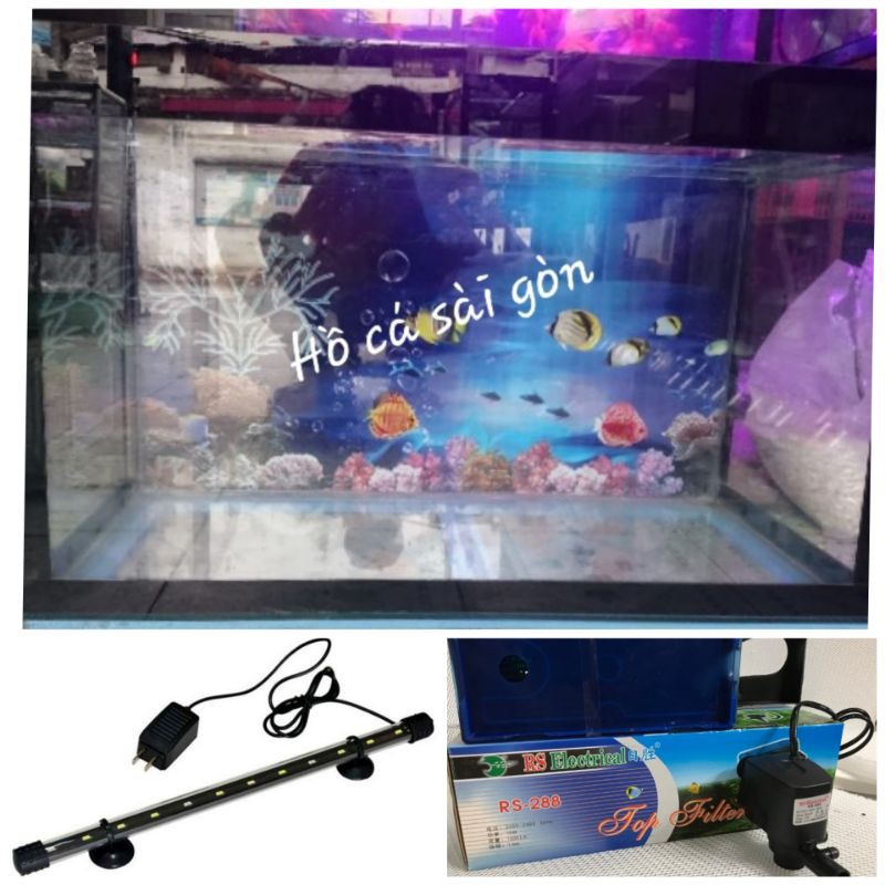 Hồ cá cảnh 60cmx30cm kèm đèn, bộ lọc nước