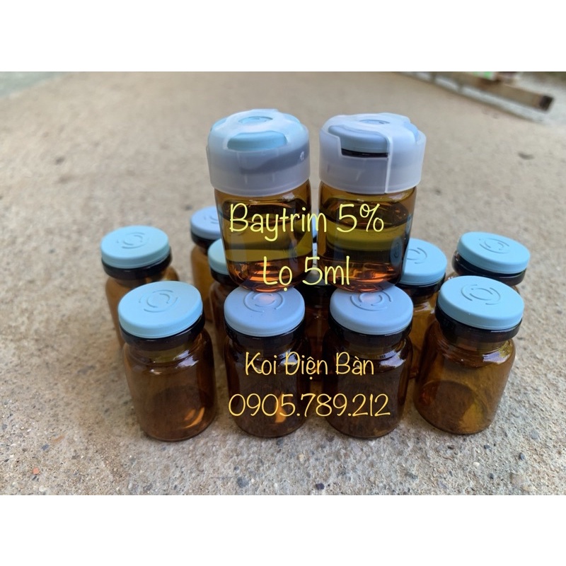 Baytril 5% lọ 5ml