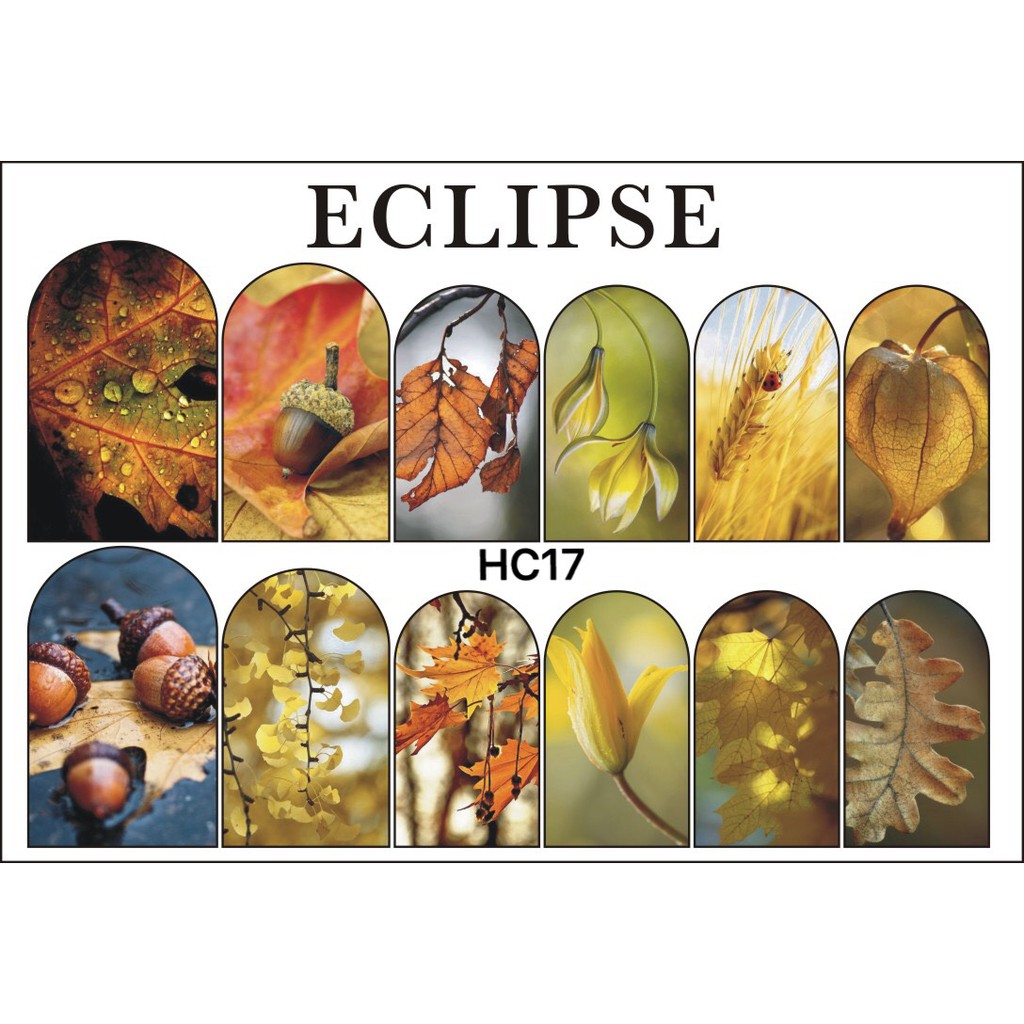 Dán Sticker Nga 3D Mẫu Mới, Cực Đẹp Siêu Mỏng Không Thấm Nước - Lẻ 1 Cái (Mẫu HC17-HC34 )