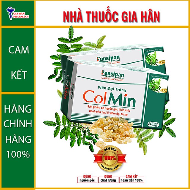 Viên Đại Tràng ColMin Dành Cho Người Viêm Đại Tràng