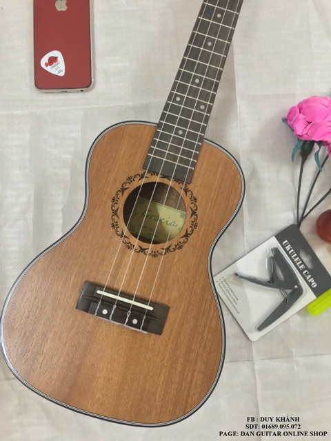 ( MUA 1 TẶNG 5 ) ĐÀN UKULELE CONCERT HOẠ TIẾT VIỀN TRẮNG