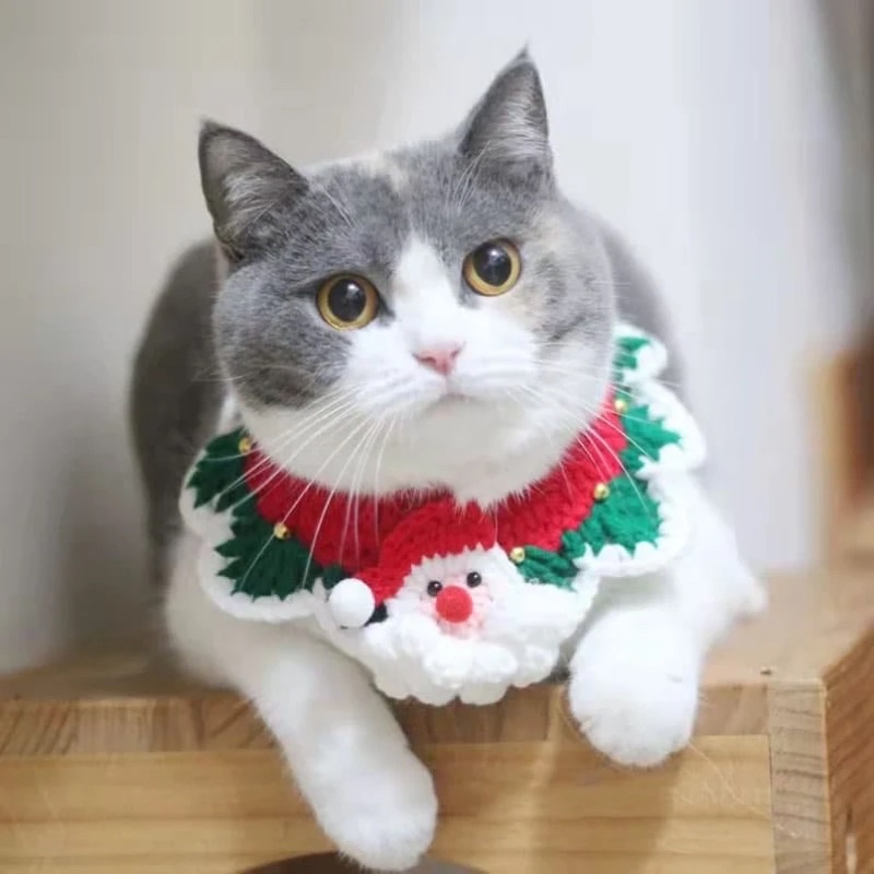 Christmas collar