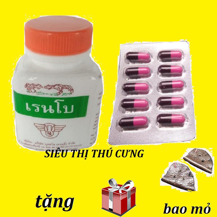 [ HỖ TRỢ PHÍ VẬN CHUYỂN ] COMBO THUỐC TĂNG CƠ BẮP VÀ VỈ KÍCH LÔNG CHO GÀ - TẶNG BAO MỎ DA