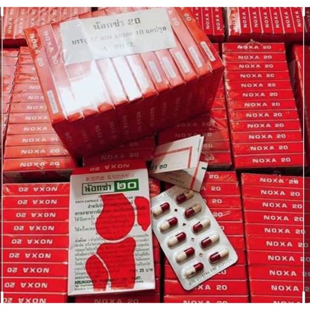 Combo 1 lố 12 hộp viên uống xương khớp Noxa 20 Thái Lan