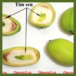 [LOẠI 1] Tâm Sen (Tim sen) 100gr