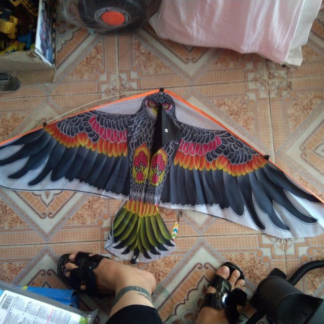 Diều đại bàn