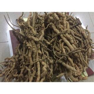 ba kích rừng