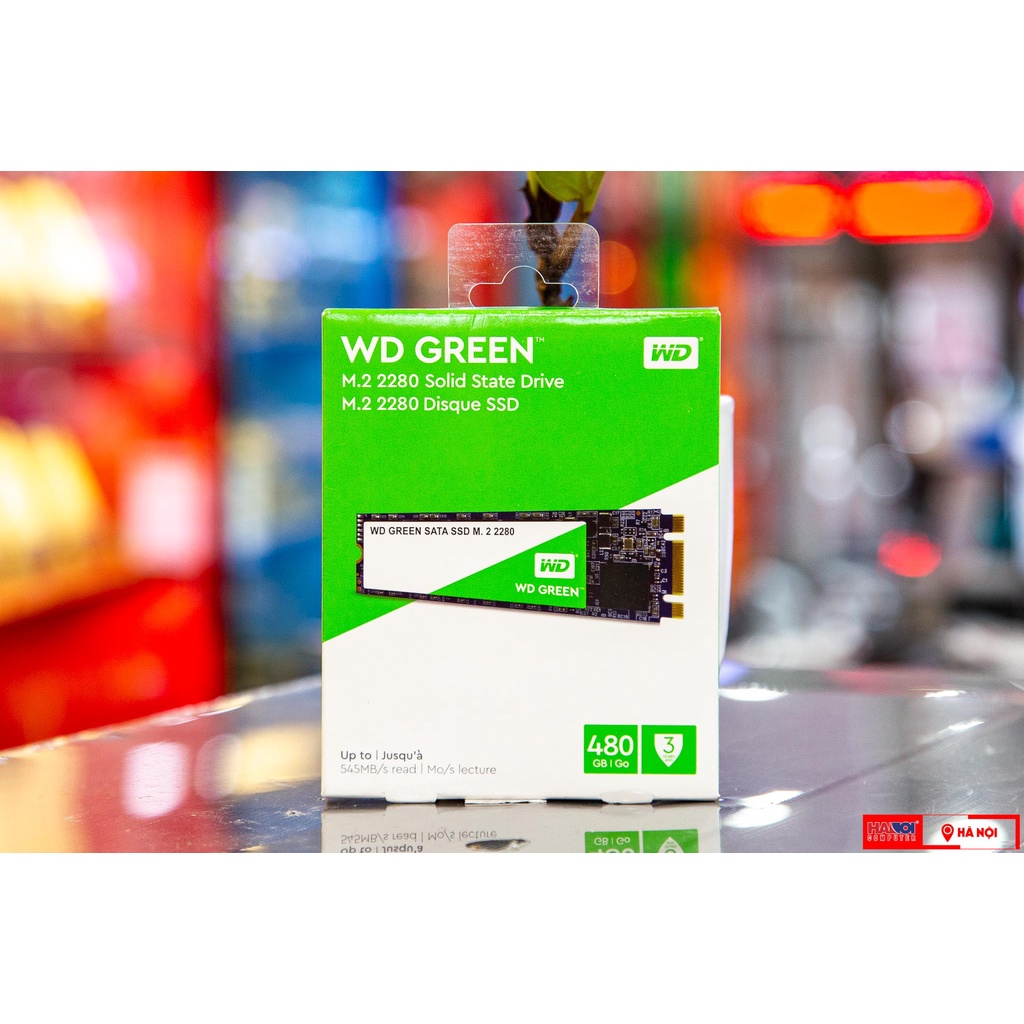 Ổ cứng SSD WD Green 480GB M.2 2280 (Đọc 540MB/s - Ghi 450MB/s) - (WDS480G2G0B)