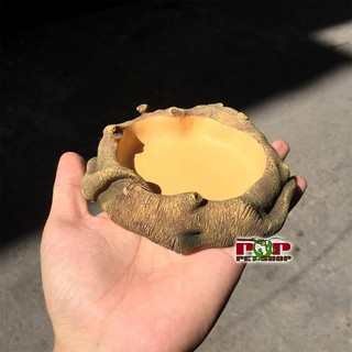 Bát ăn cho bò sát