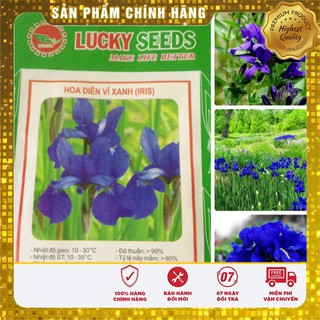 Hạt Giống Hoa Diên Vĩ Xanh (10 hạt ) IRIS