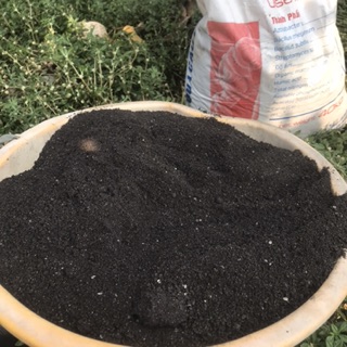 1 kg phân hữu cơ vi sinh quả cầu lửa 007