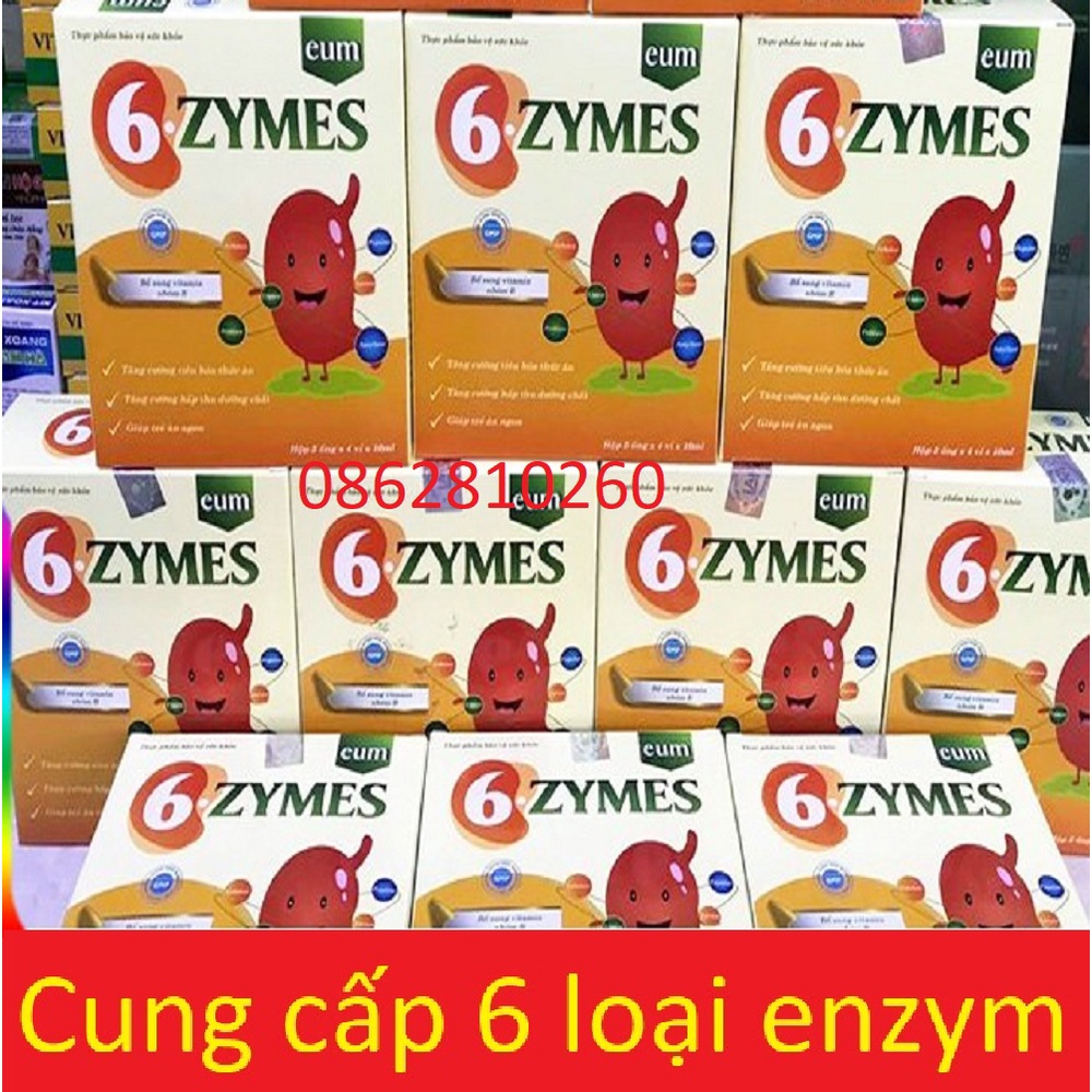 6 Zymes - Bổ sung đầy đủ 6 loại enzyme và vitamin nhóm B cần thiết cho cơ thể