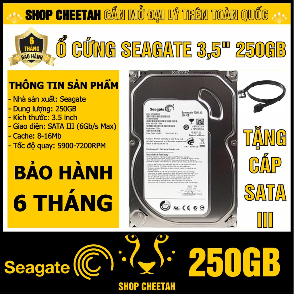 HDD 3.5” Seagate 250GB – Ổ cứng PC chính hãng – Mới 99% – Bảo hành 6 tháng – Tháo từ máy đồng bộ nhập khẩu