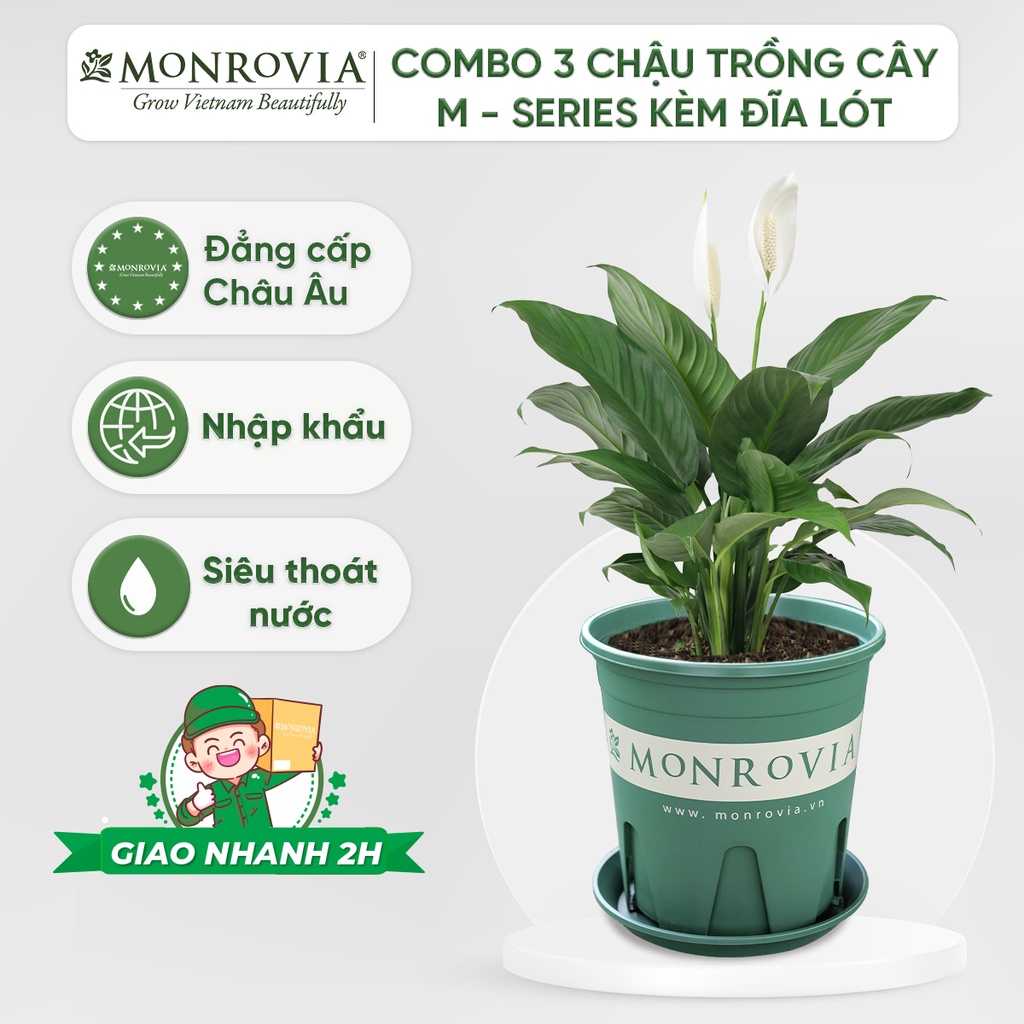 Combo 3 Chậu trồng cây MONROVIA, kèm đĩa lót, cây cảnh mini, trồng rau, hoa, để bàn, treo ban công, nhập khẩu
