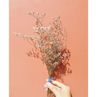 [ SỈ ] HOA KHÔ giá siêu rẻ 🍁🌼🌺