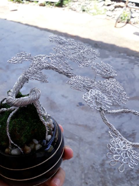Cây bonsai kẽm bọc bạc vĩnh cửu.