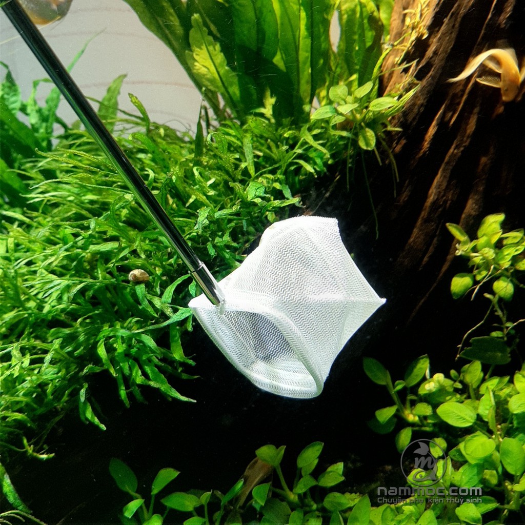 Vợt Tép 3D inox - Vợt Tép Xếp Khúc Nhỏ Gọn