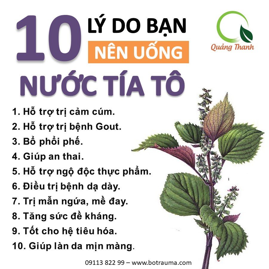 Bột tía tô Quảng Thanh gói 100 gram