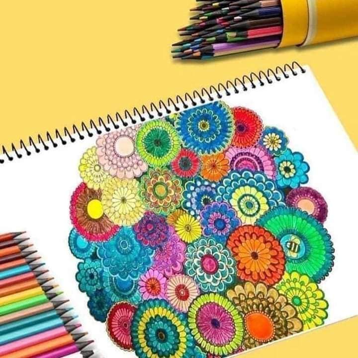 BÚT CHÌ MÀU HÃNG #PENSING 36 CÂY