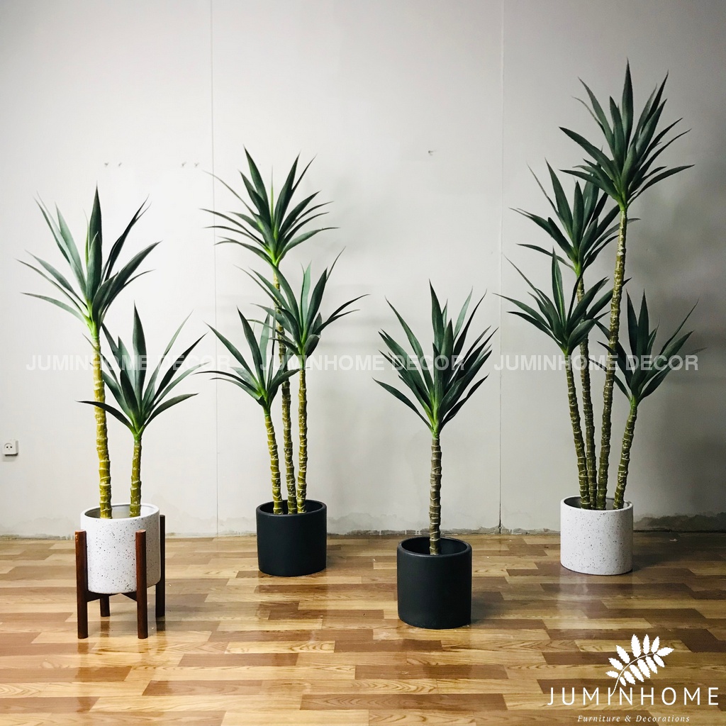 Cây giả, Cây thiết mộc lan giả, phát tài núi cao 180cm - Cây giả decor trang trí nhà cửa nội thất phòng khách phòng ngủ