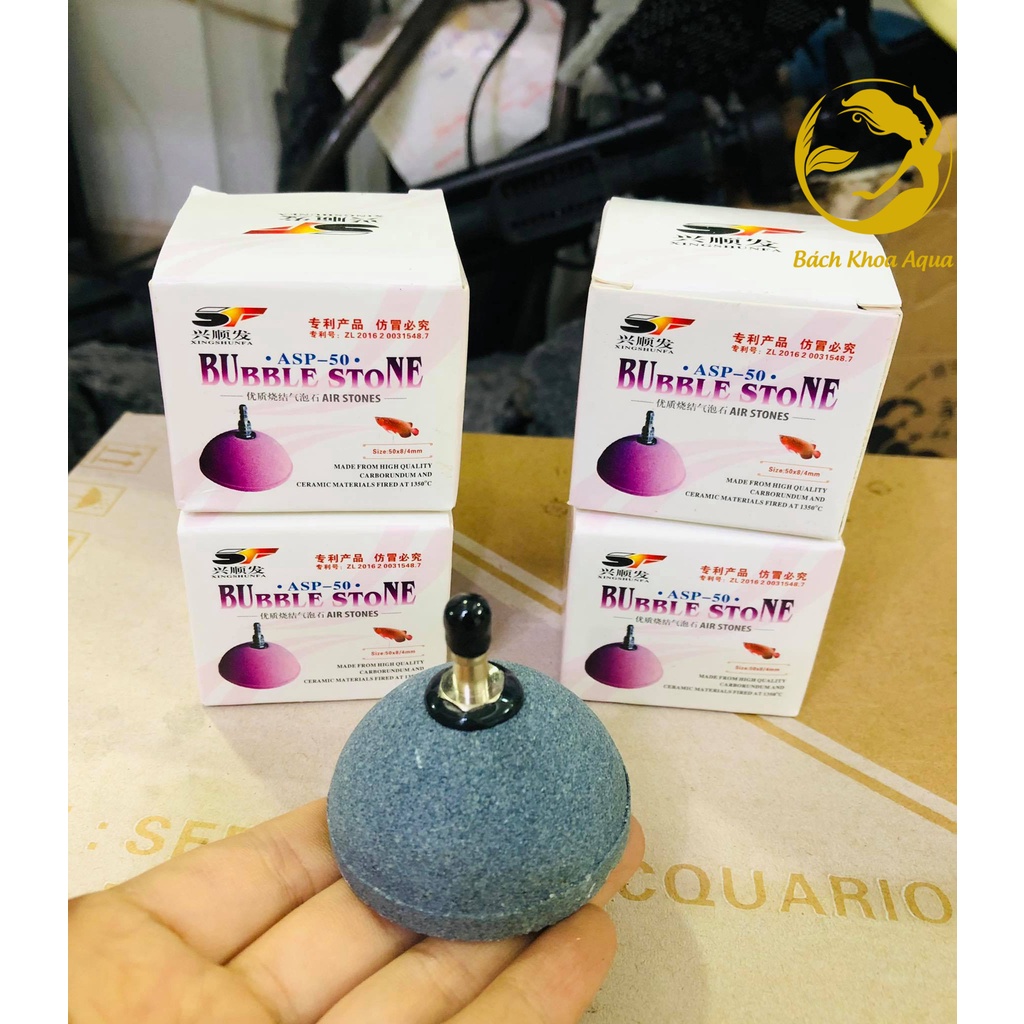 Quả sủi Oxy mini hình nón