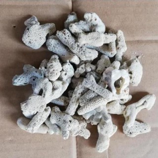 San hô lọc nước hồ cá - San hô vụn