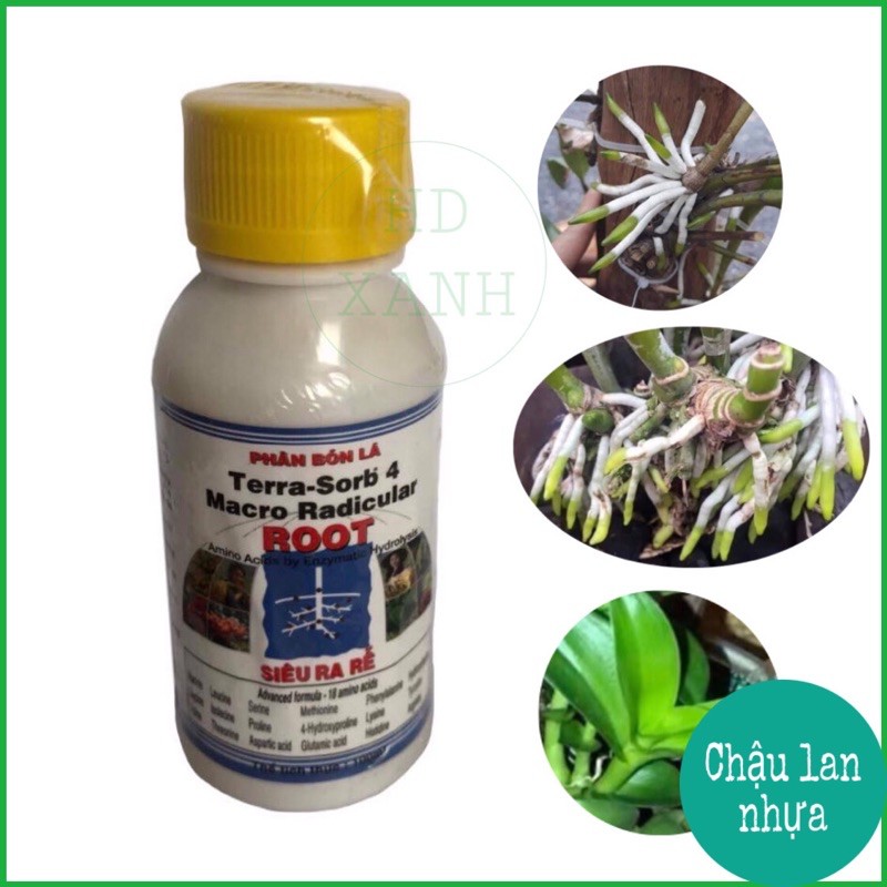 Phân bón lá siêu ra rễ tera-sord 4 100ml