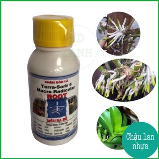 Phân bón lá siêu ra rễ tera-sord 4 100ml