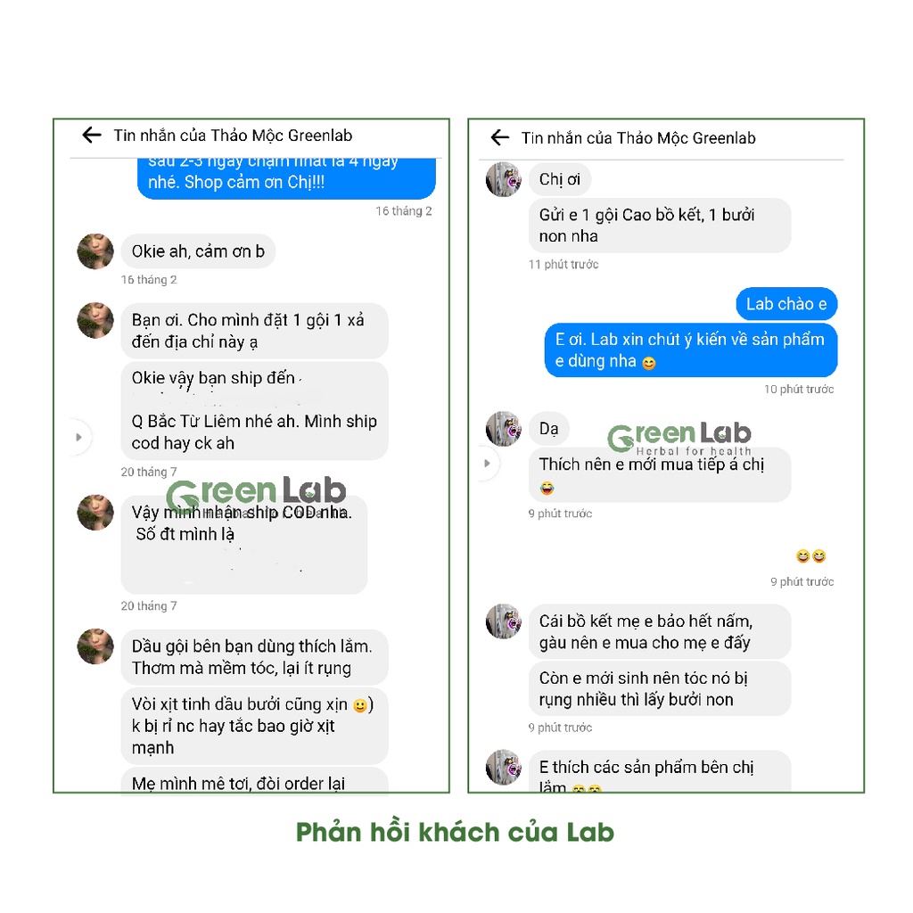 Dầu gội bồ kết cô đặc Greenlab, Dầu gội thảo dược sạch gàu, nấm ngứa, chống, ngăn rụng tóc, mọc tóc