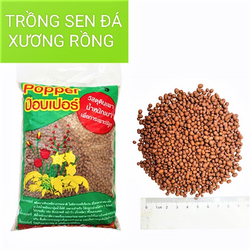 Hạt đất nung keramzit siêu nhẹ trồng cây - hạt lớn 2-5 mm