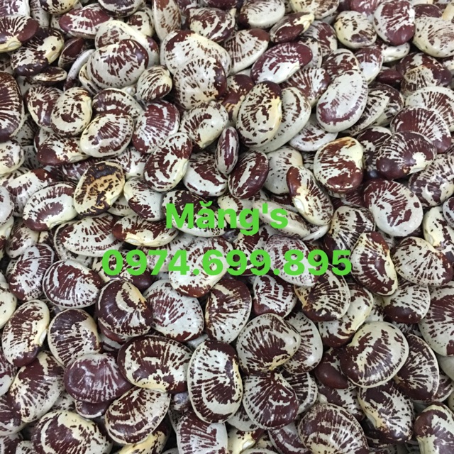 1kg Đậu Ngự loại 1: Thơm - Bở ( Hút chân không)