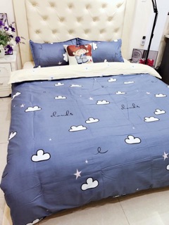 SET CHĂN GA GỐI COTTON LỤA DEMI