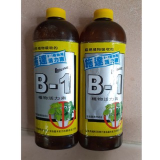 Vitamin B1 nhập khẩu Đài Loan chai 300cc