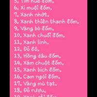 Set 7 áo thun trơn đốm AGE2X