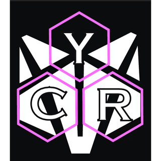 Logo Sticker Patch in áo ủi trực tiếp lên vải size 30cm theo yêu cầu