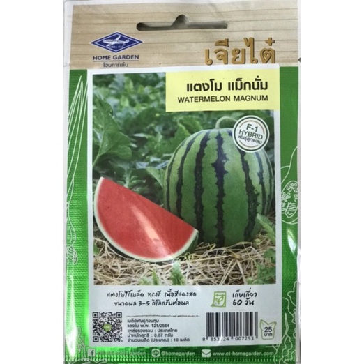 Hạt giống dưa hấu đỏ hạt lép, không hạt, dưa hấu mặt trời đỏ Thái Lan