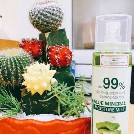 MỘC_Cosmetics Store