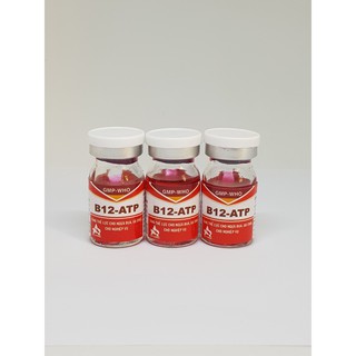 Combo 4 lọ Thuốc tăng B12 ATP