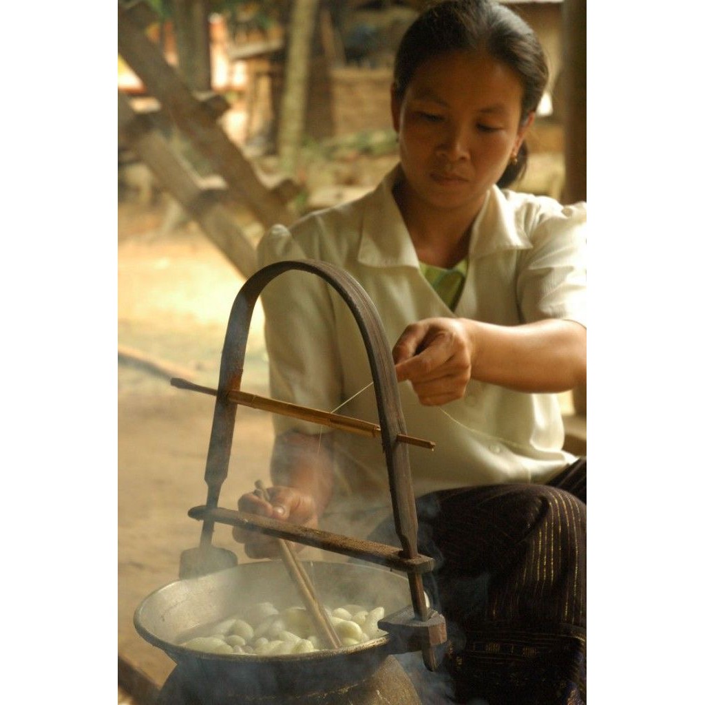 Kén tằm The Cocoon Lam Dong 30pcs | BigBuy360 - bigbuy360.vn