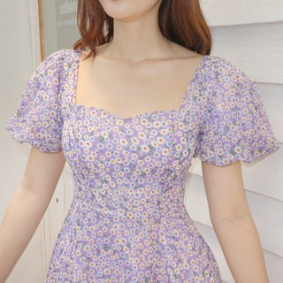 ĐẦM HOA CÚC TÍM