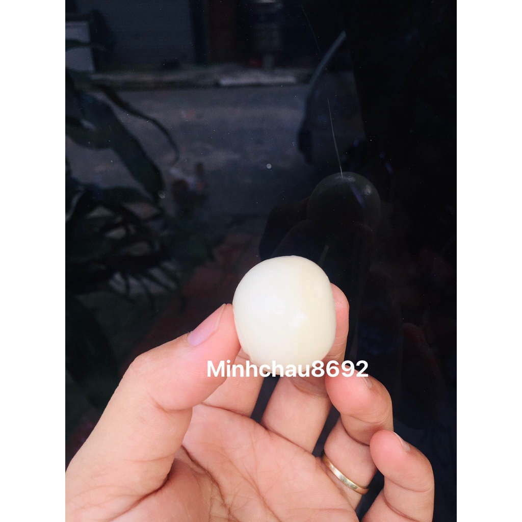 kẹo dẻo hình mắt NHỎ có nhân - lọ kẹo mắt NHỎ 10 gram x 60 viên